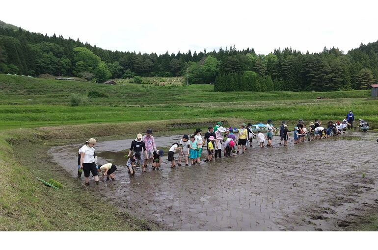 棚田で田植え