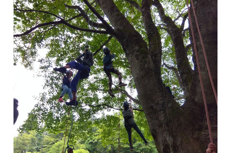 IMG_2023-06-08-09-57-47-109