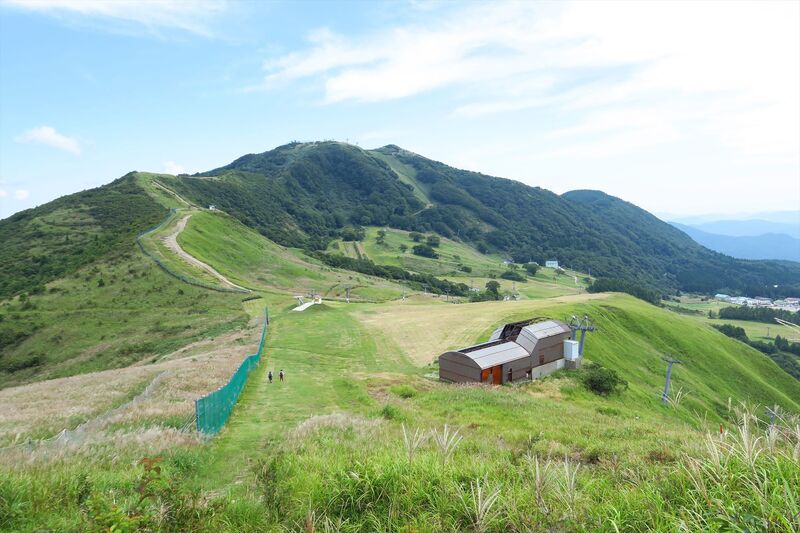 AdobeStock_206478492