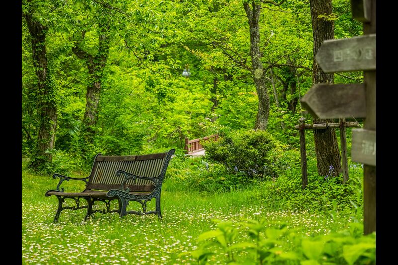 但馬高原植物園