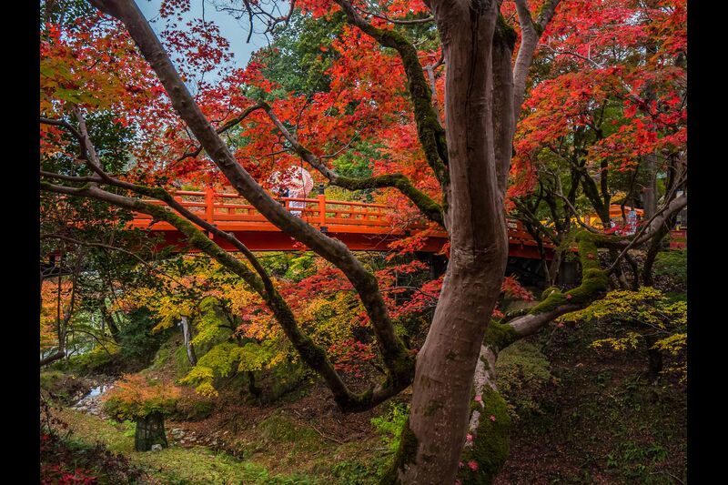養父神社